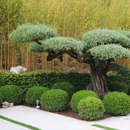 度假居 Finca Pousadoira